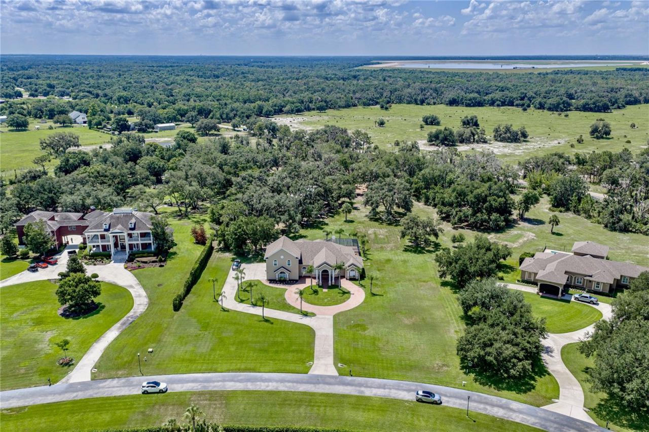 11518 Hammock Oaks Court , Lithia, FL 33547 Photo