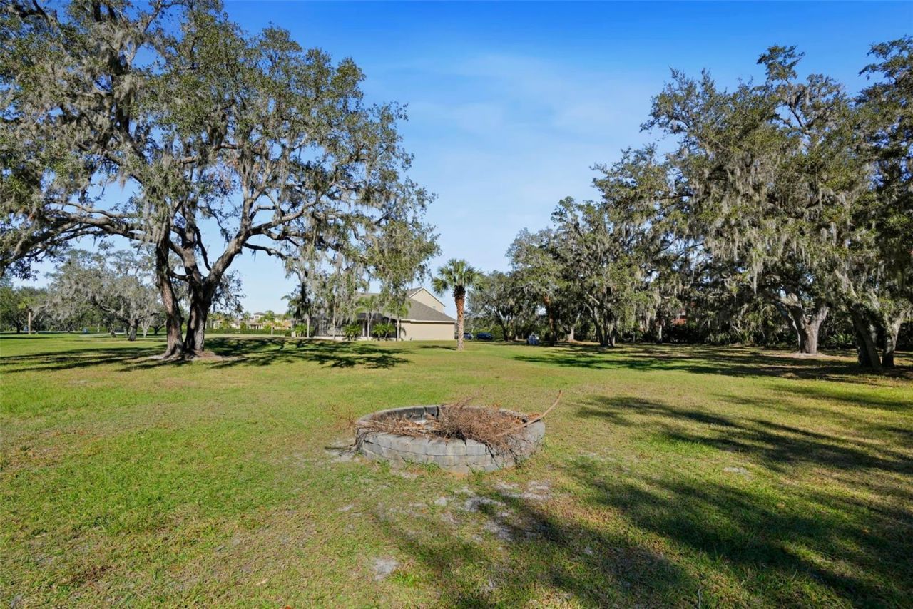 11518 Hammock Oaks Court , Lithia, FL 33547 Photo