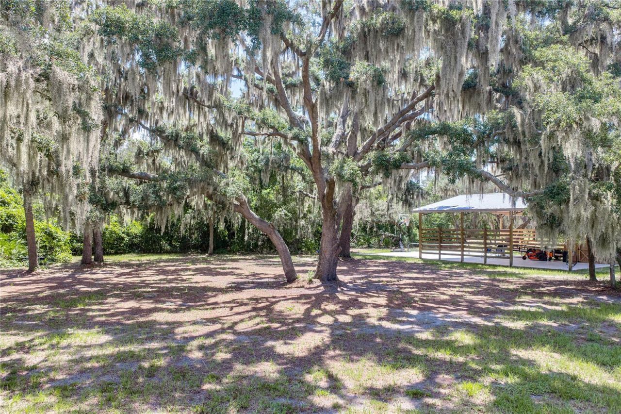 11518 Hammock Oaks Court , Lithia, FL 33547 Photo