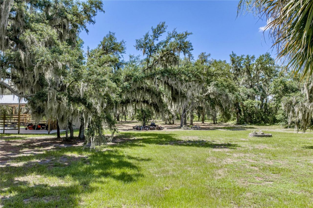 11518 Hammock Oaks Court , Lithia, FL 33547 Photo