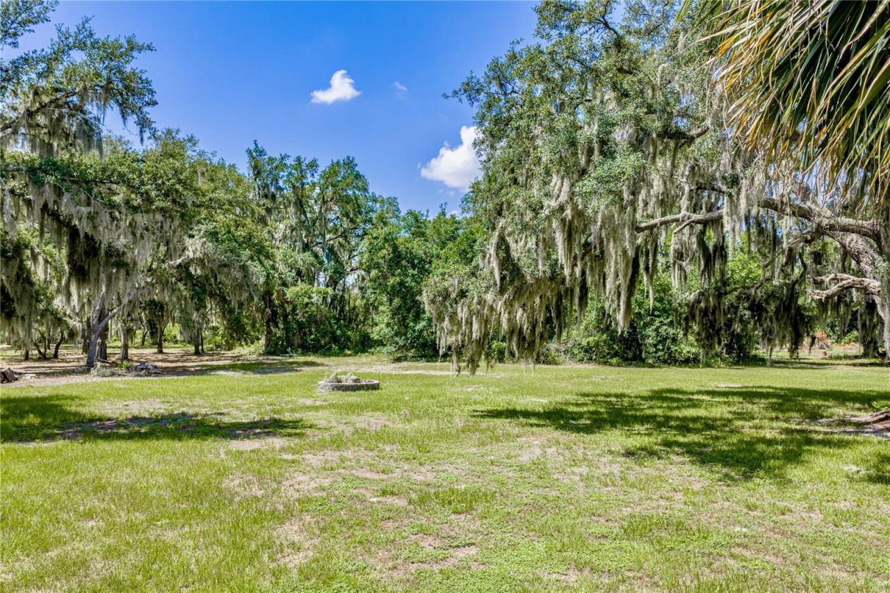 11518 Hammock Oaks Court , Lithia, FL 33547 Photo