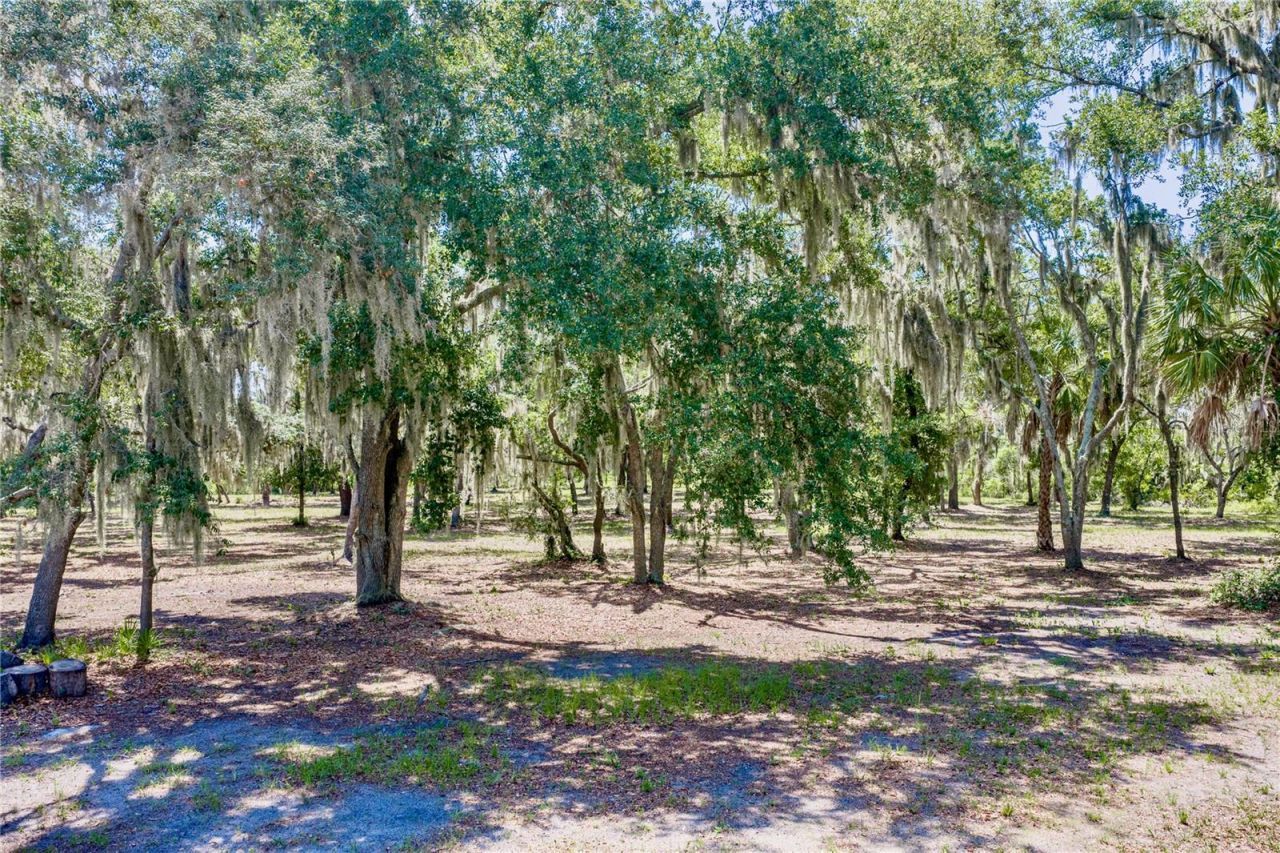 11518 Hammock Oaks Court , Lithia, FL 33547 Photo