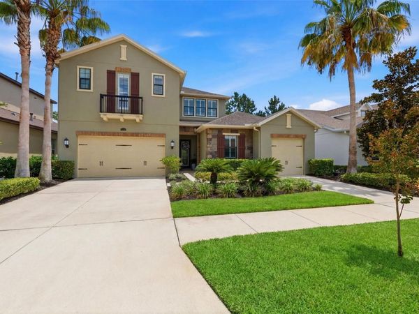 14231 AVON FARMS DRIVE , TAMPA, FL 33618