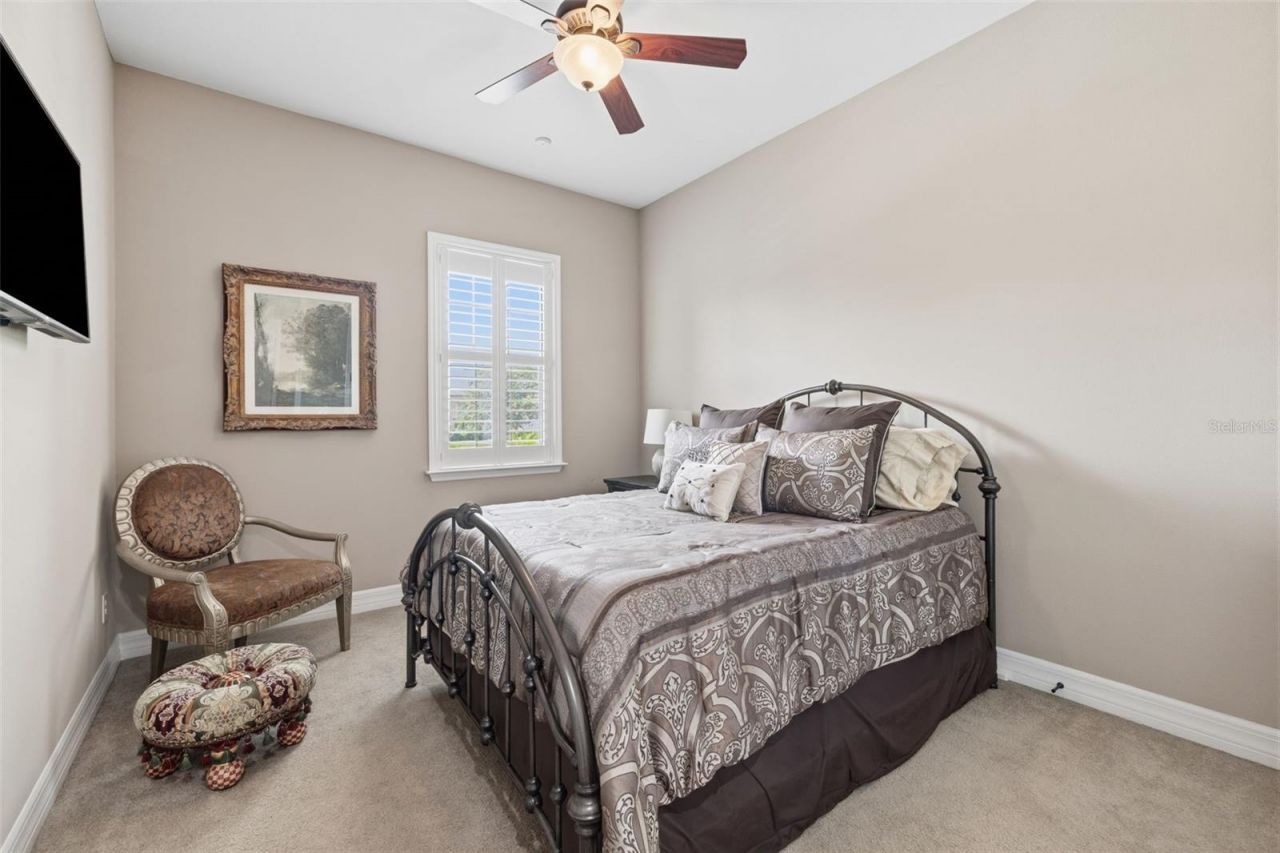 14231 Avon Farms Drive, Tampa, FL 33618 Photo