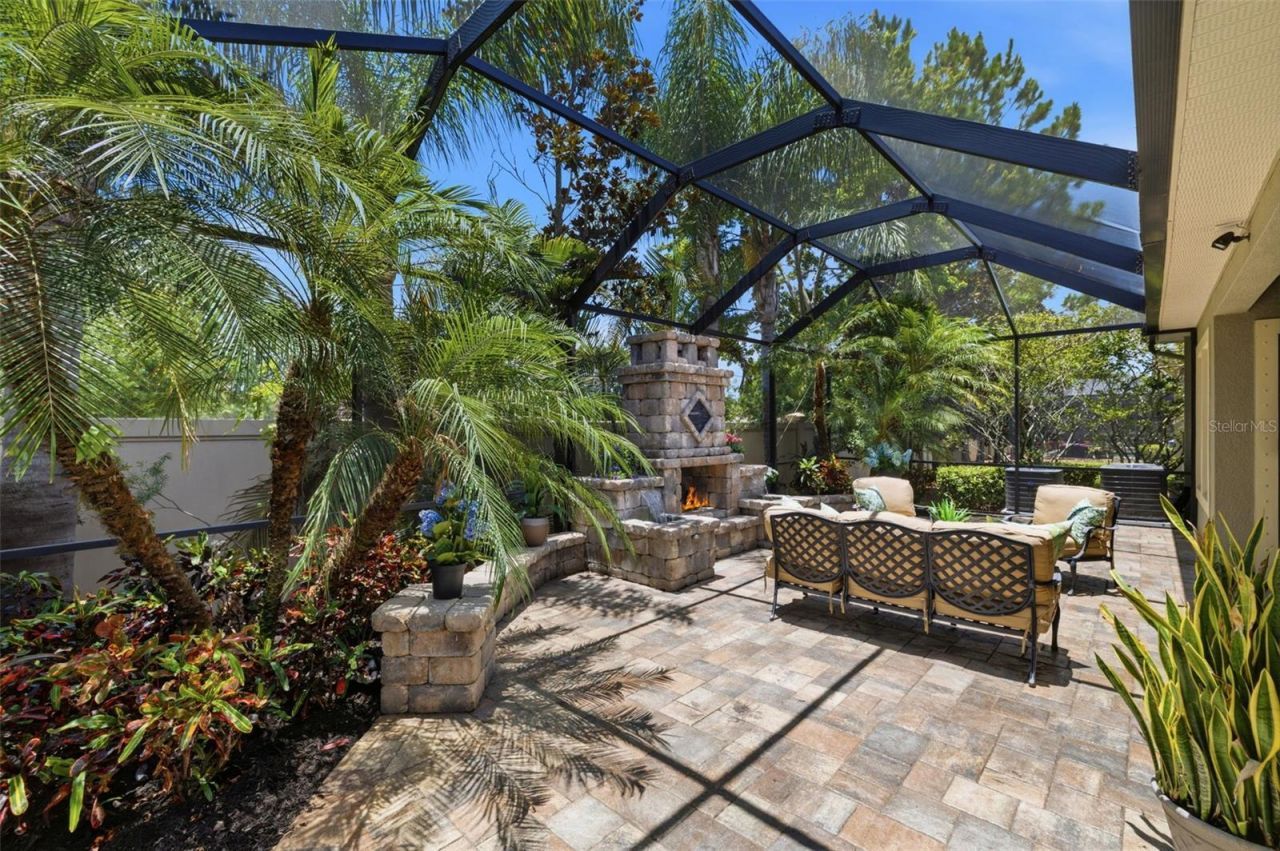 14231 Avon Farms Drive, Tampa, FL 33618 Photo