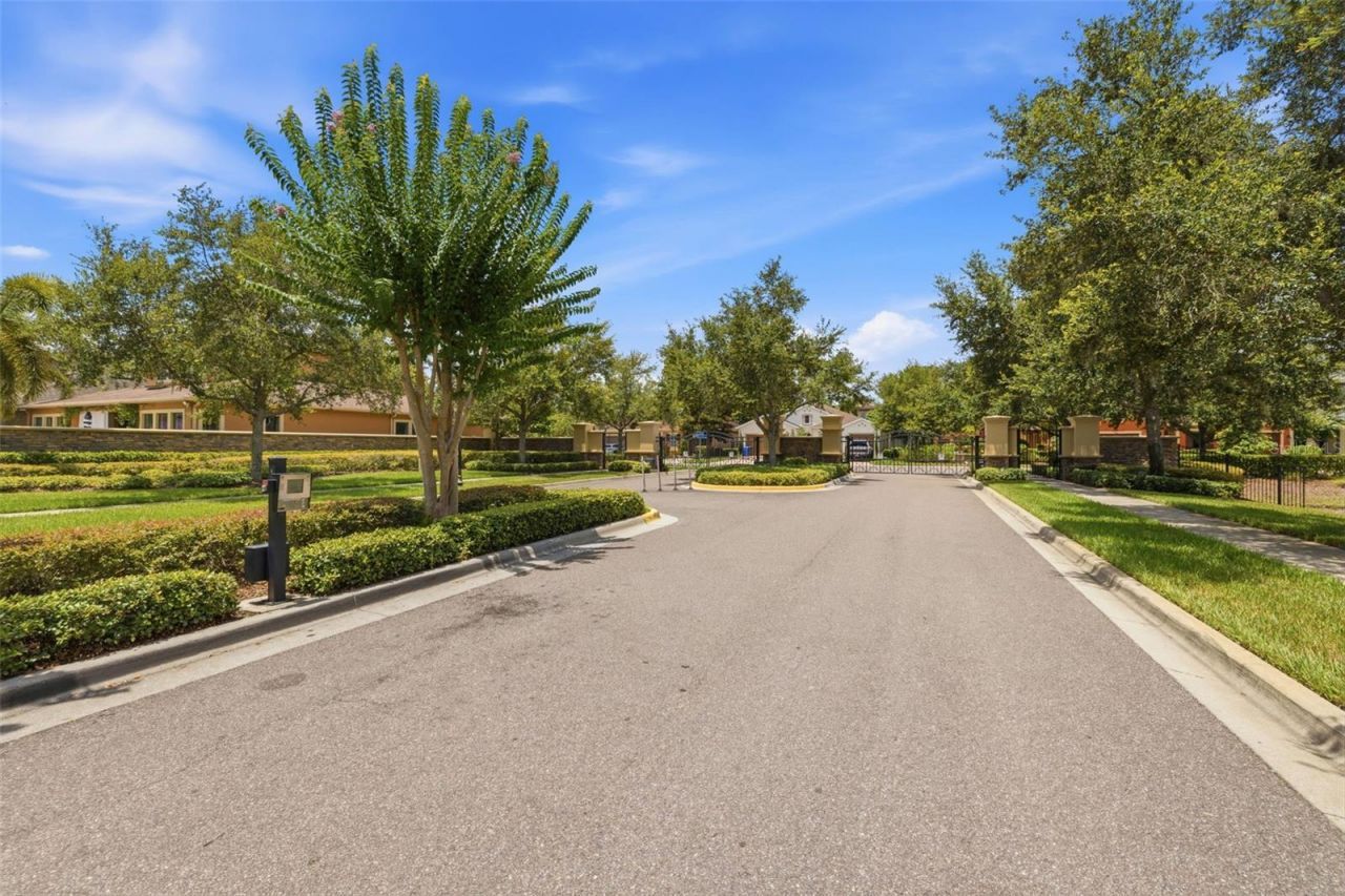 14231 Avon Farms Drive, Tampa, FL 33618 Photo