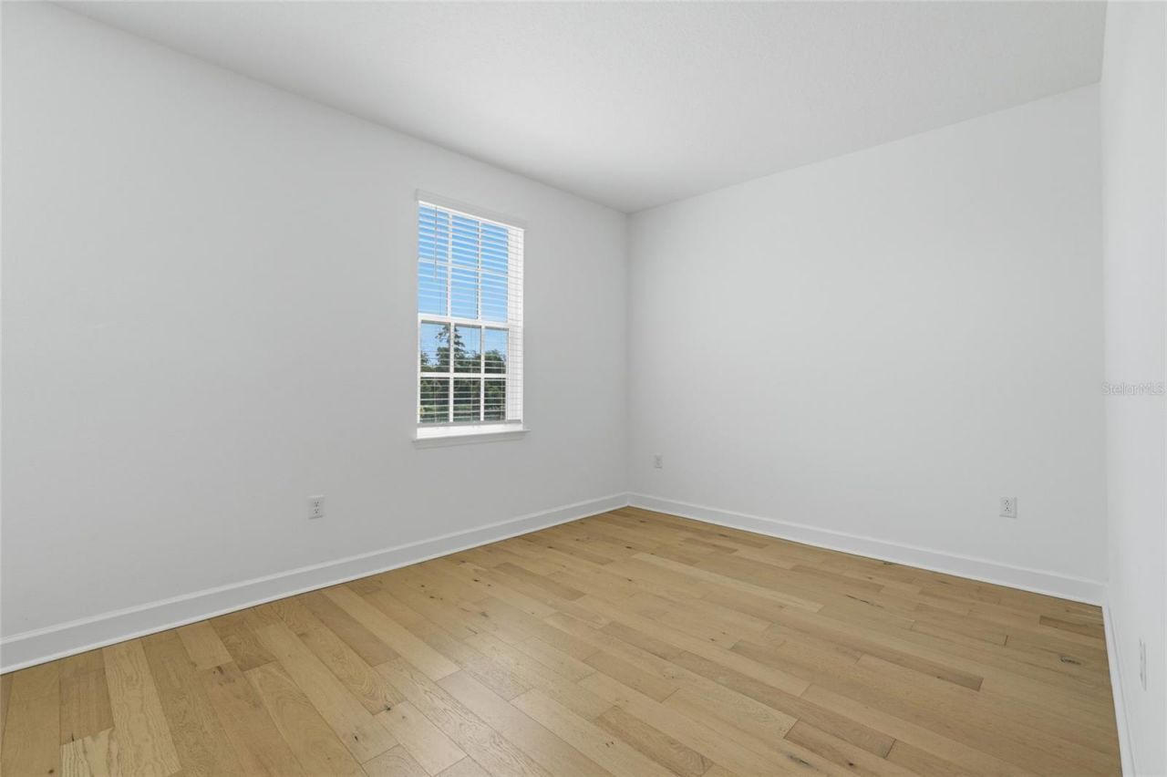 7565 Estuary Lake Loop, Celebration, FL 34747 Photo