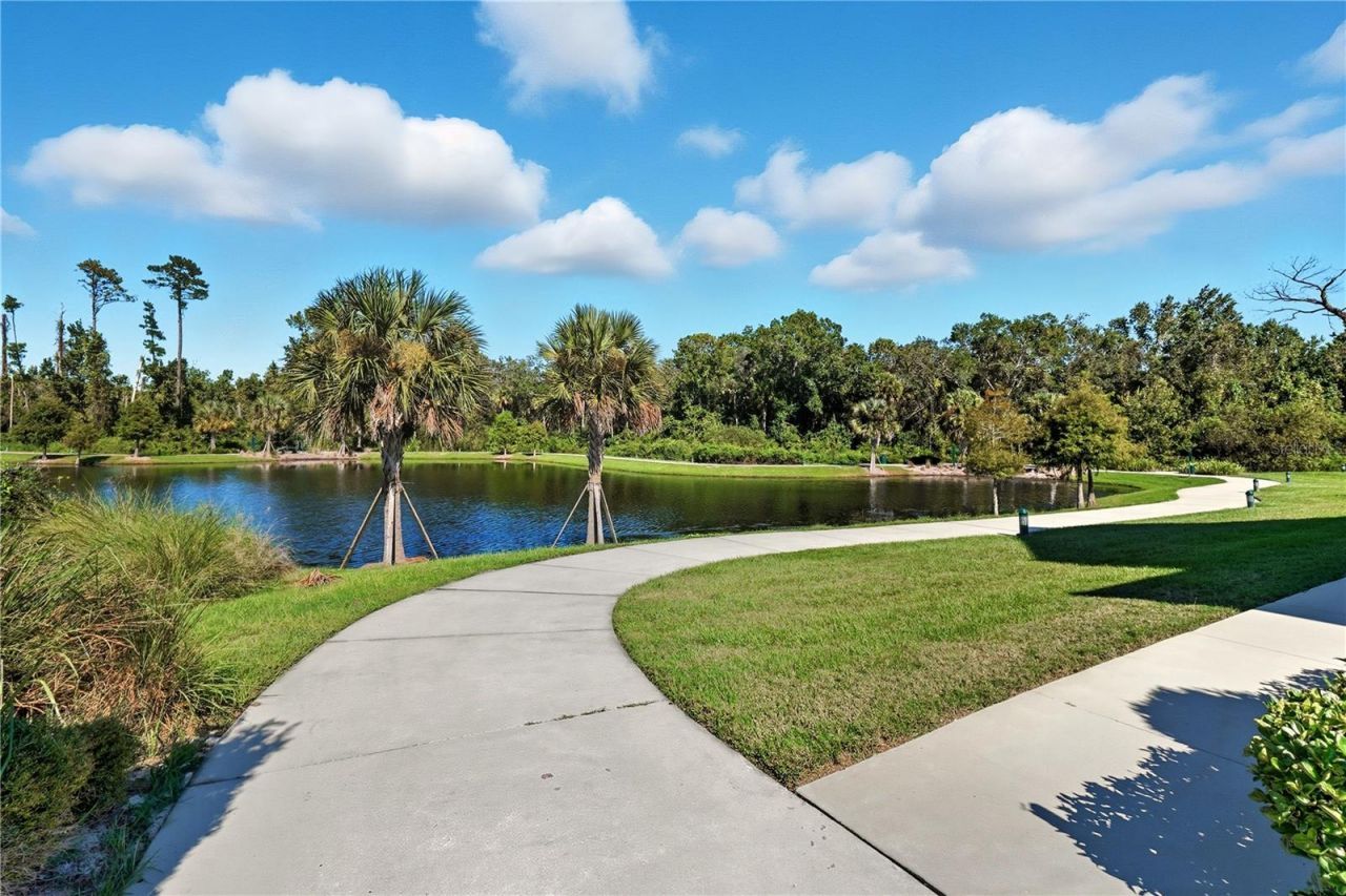 7565 Estuary Lake Loop, Celebration, FL 34747 Photo