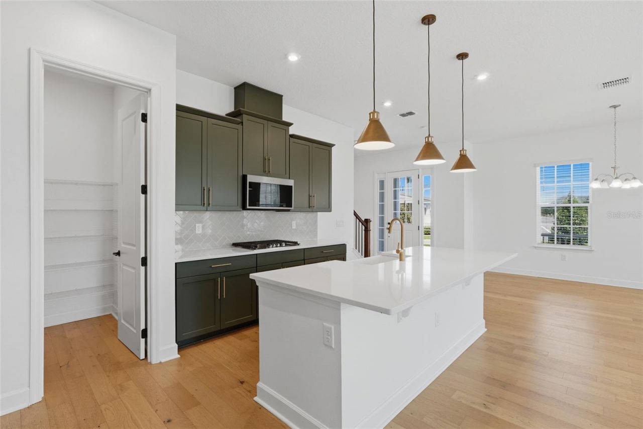 7565 Estuary Lake Loop, Celebration, FL 34747 Photo