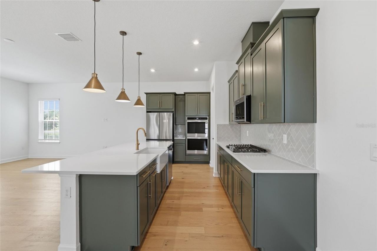 7565 Estuary Lake Loop, Celebration, FL 34747 Photo