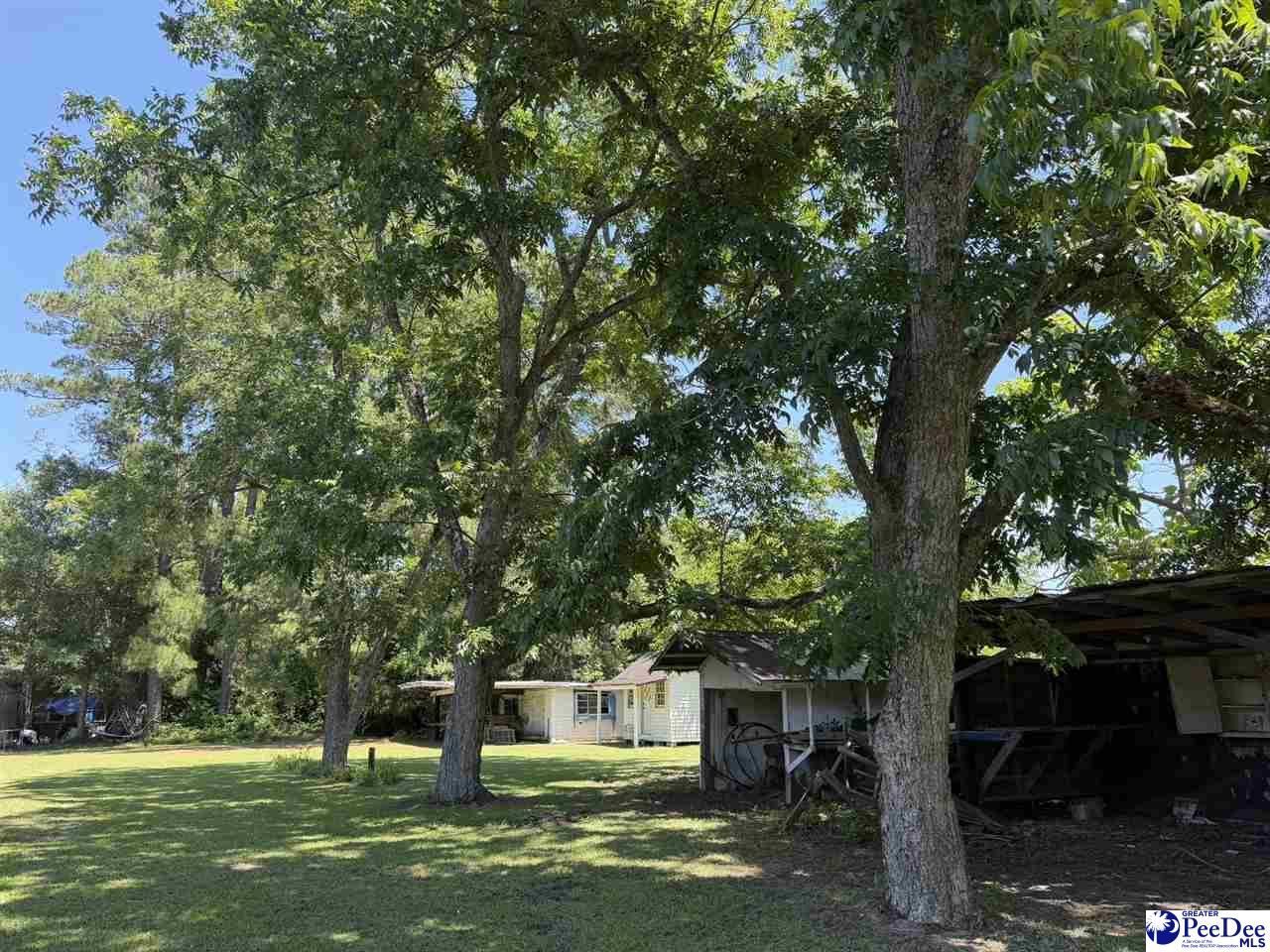 749 Henry St Ext Photo 6