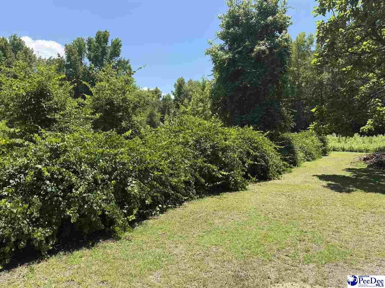 749 Henry St Ext Photo 7