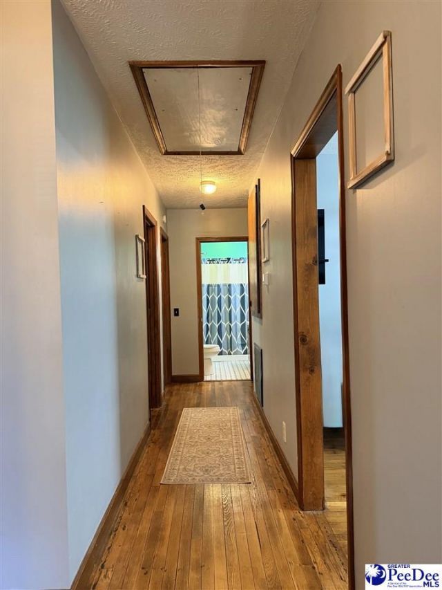 113 Zelle Street Photo 12