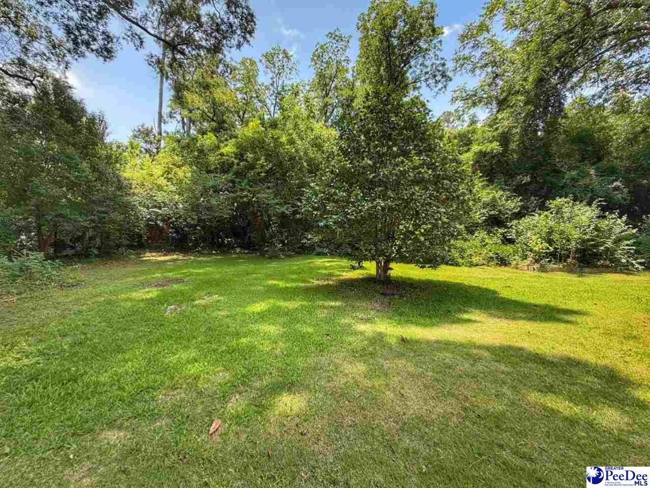 113 Zelle Street Photo 27