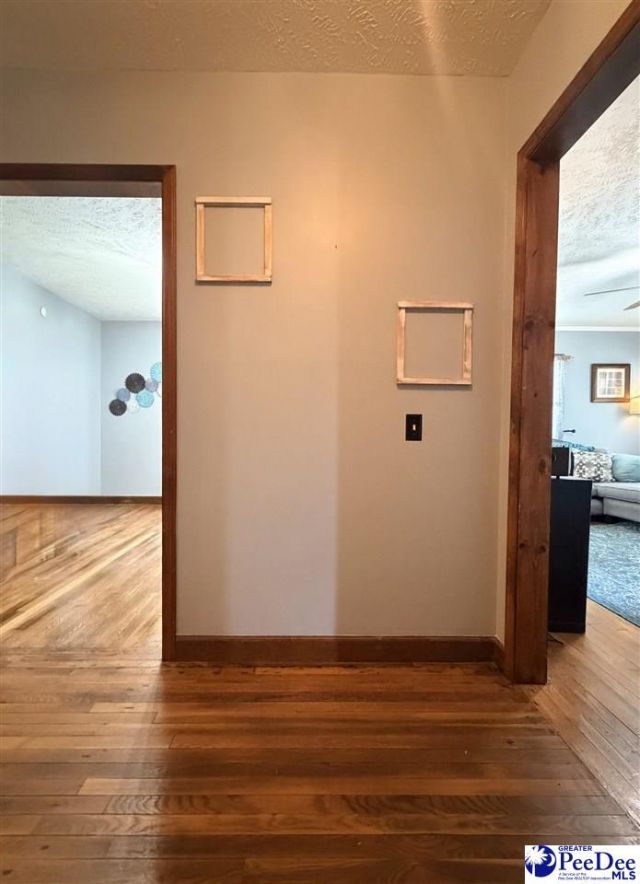 113 Zelle Street Photo 5