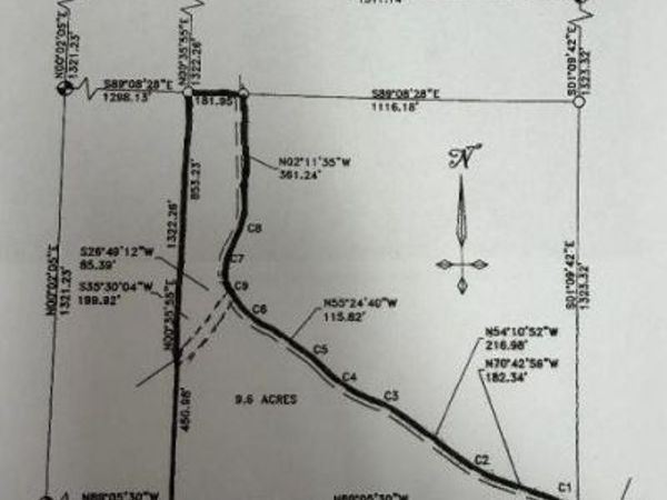 TBD Walt's Road Road, Mastodon Twp, MI 49801