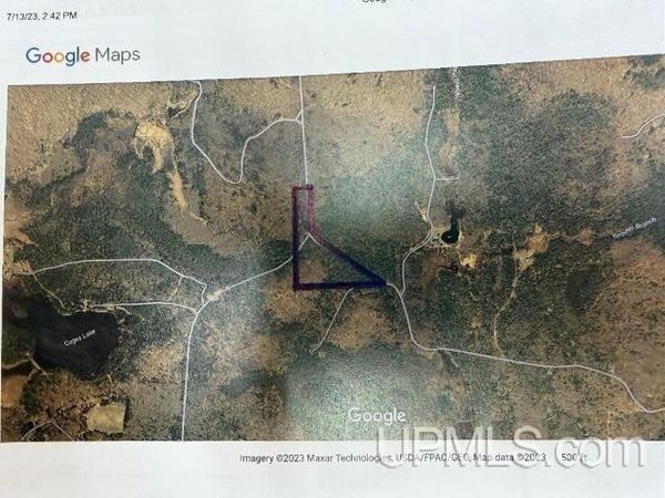 TBD Walt's Road Road, Mastodon Twp, MI 49801
