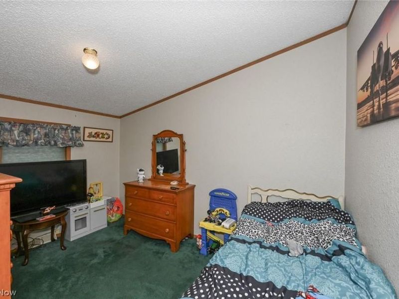 576 Twp Rd 462, Sullivan, OH 44880 Photo 21