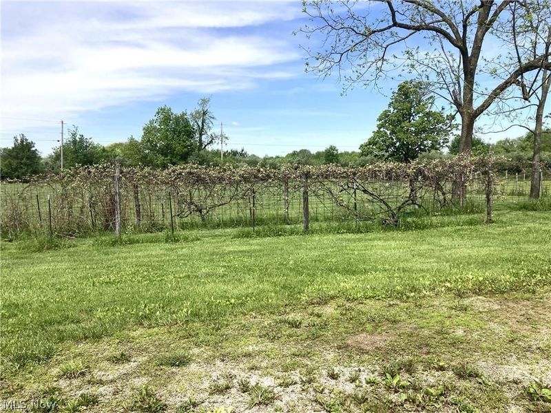 576 Twp Rd 462, Sullivan, OH 44880 Photo 43