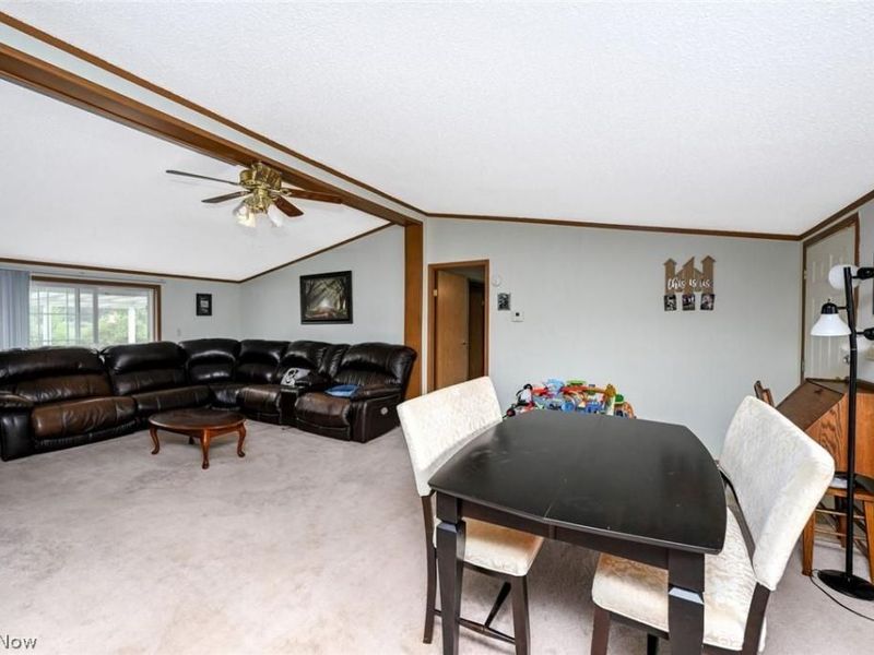 576 Twp Rd 462, Sullivan, OH 44880 Photo 5