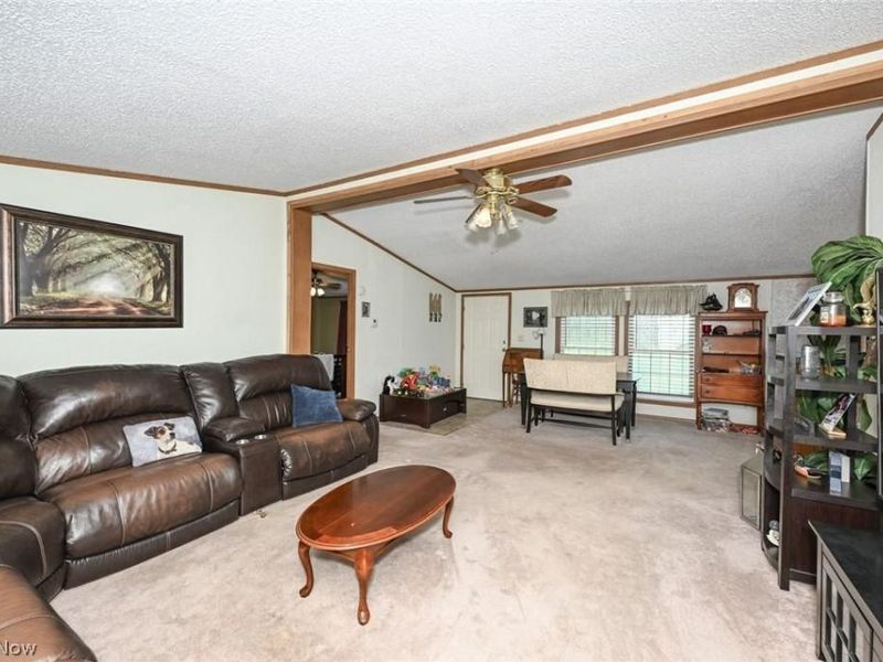 576 Twp Rd 462, Sullivan, OH 44880 Photo 7