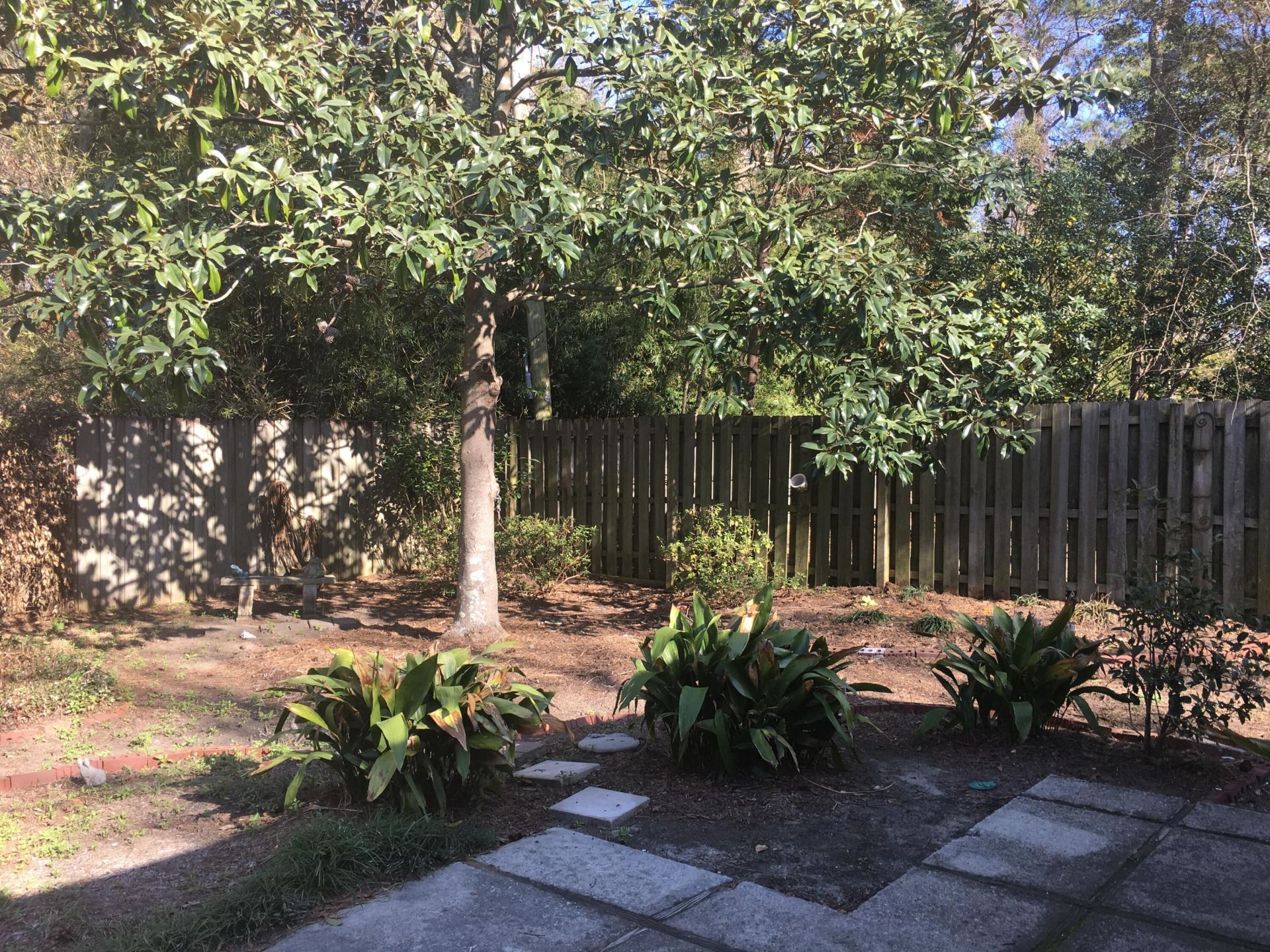 1124 Honeysuckle Court Photo 16