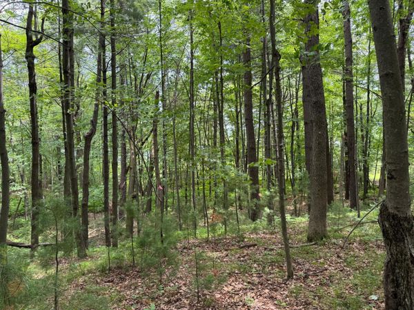 TBD Garden Dr , Siren, WI 54872