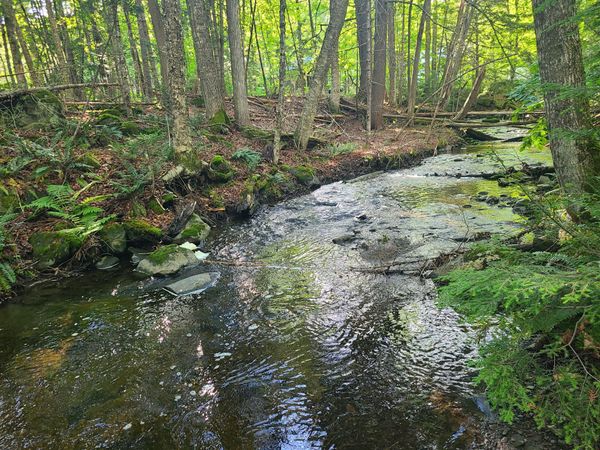 36 Ladd Road, Sebec, ME 04481