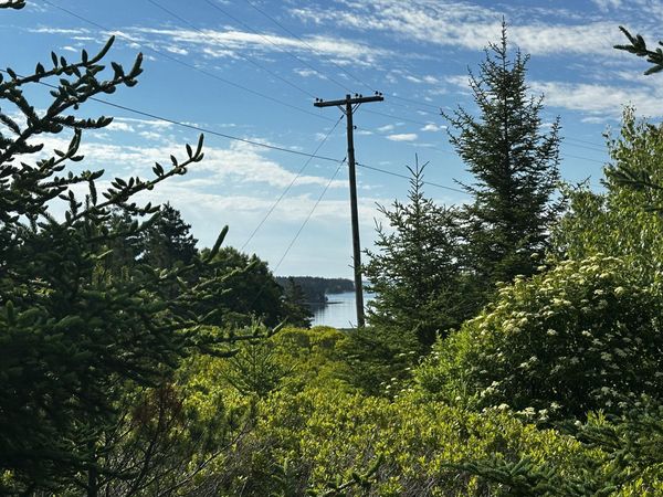 234 Harbor Road , Swans Island, ME 04685