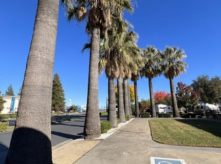 4724 Madison Ave. #4, Sacramento, CA 95841 Photo