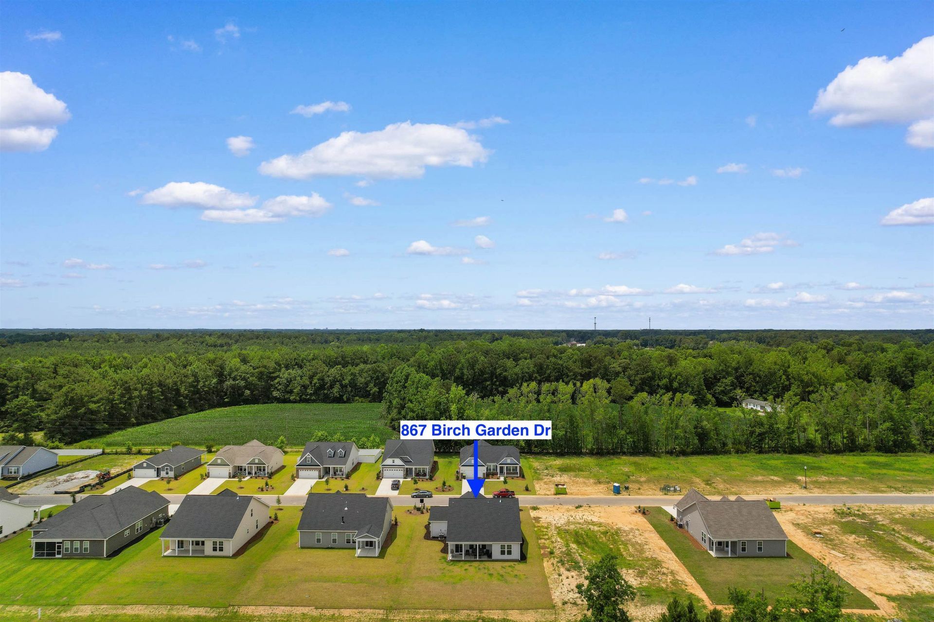 867 Birch Garden Dr. Photo 44