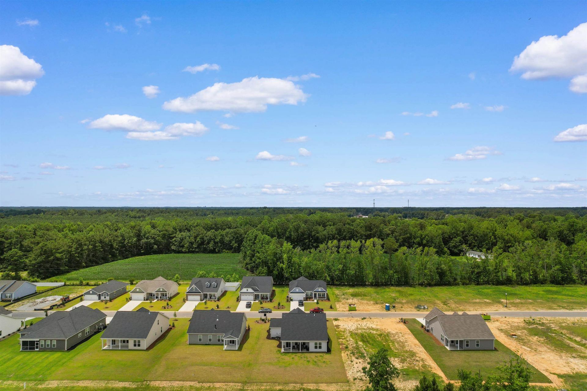 867 Birch Garden Dr. Photo 45