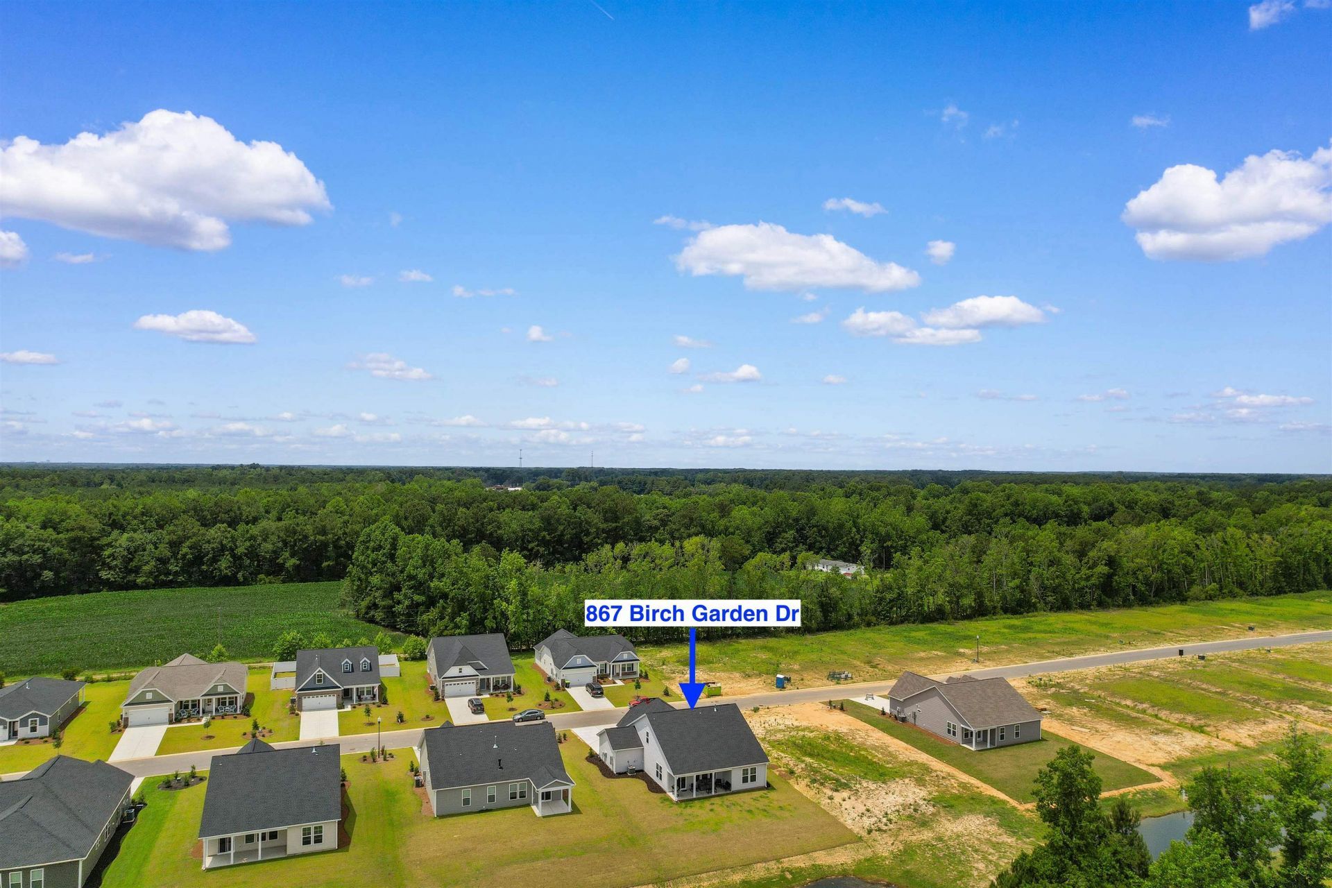 867 Birch Garden Dr. Photo 46