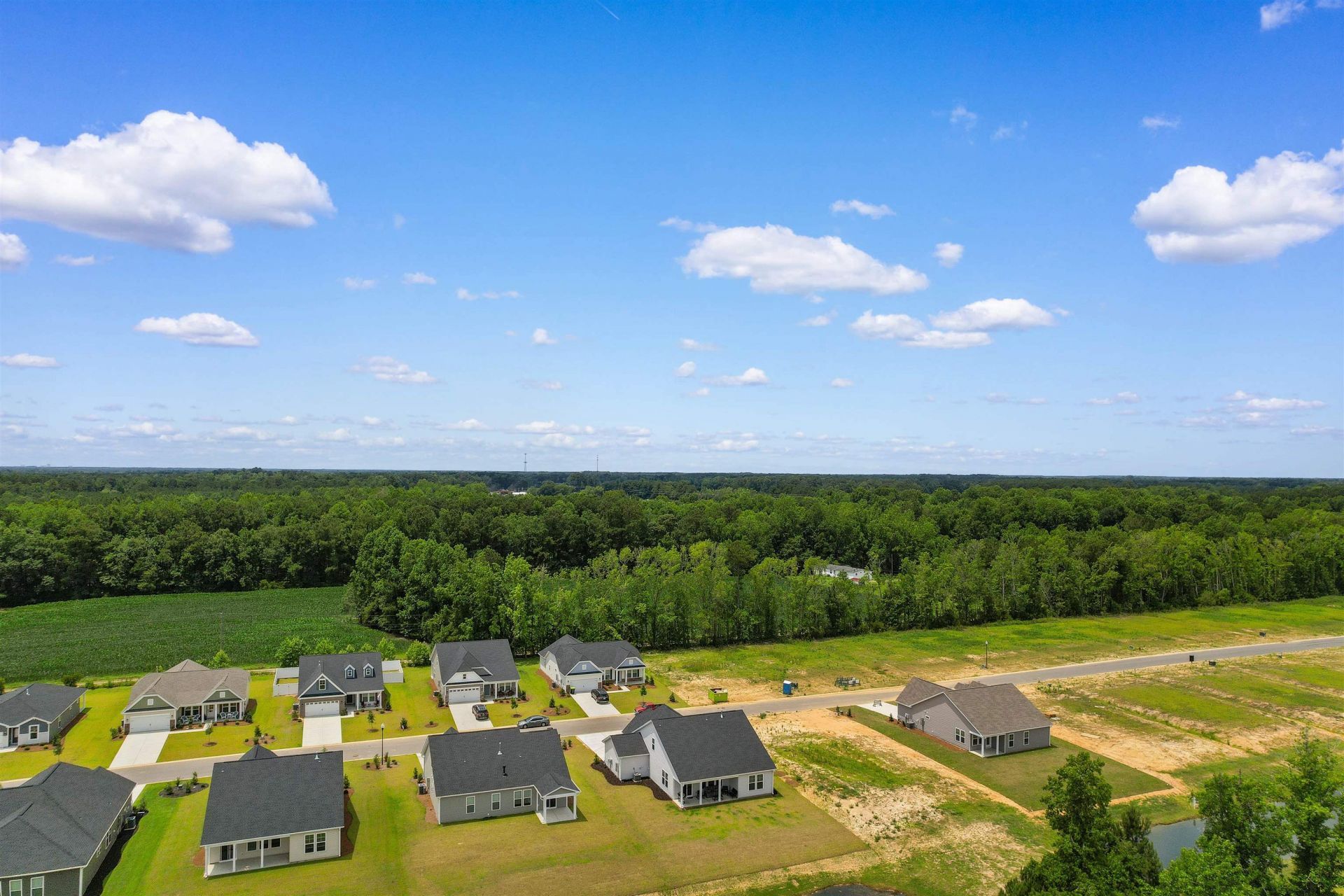 867 Birch Garden Dr. Photo 47