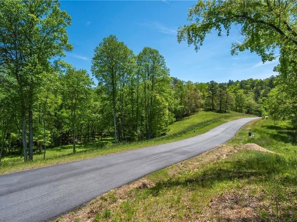 LT5-5a Waterstone Way, Mineral Bluff, GA 30559