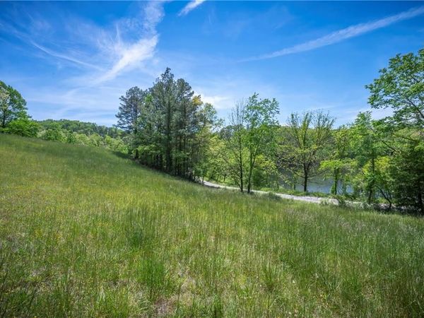 LT2-2a Waterstone Way, Mineral Bluff, GA 30559
