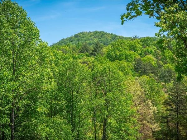 LT4-4a Waterstone Way, Mineral Bluff, GA 30559