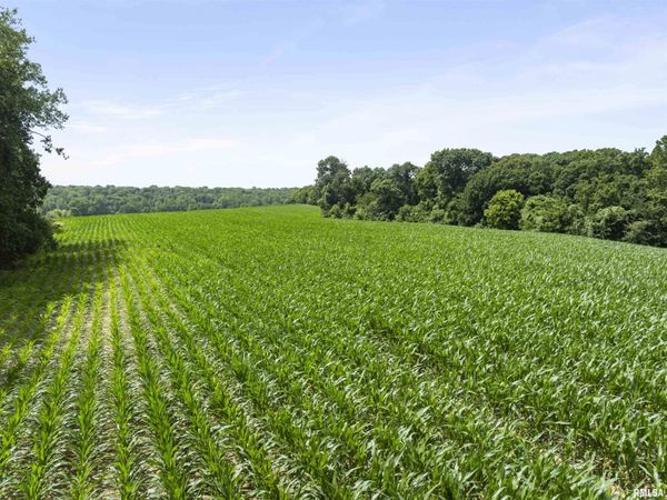 000 N Highway 9 County Road, Lewistown, IL 61542