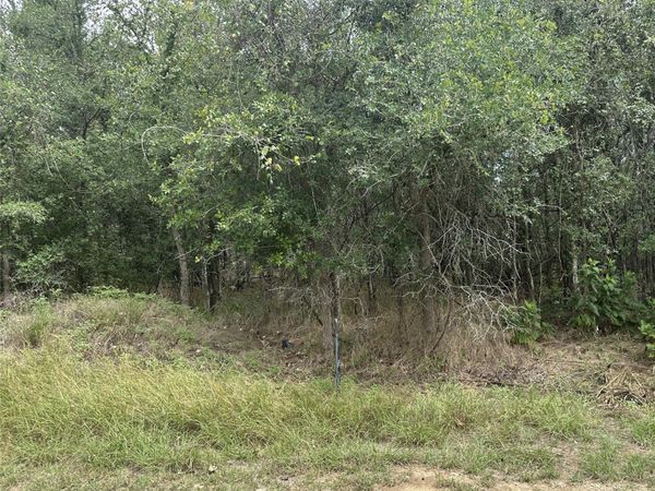 107 Halawa CT, Bastrop, TX 78602