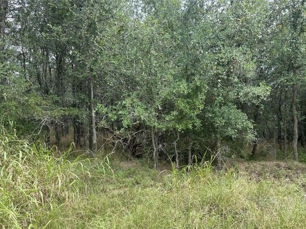 109 Halawa CT, Bastrop, TX 78602