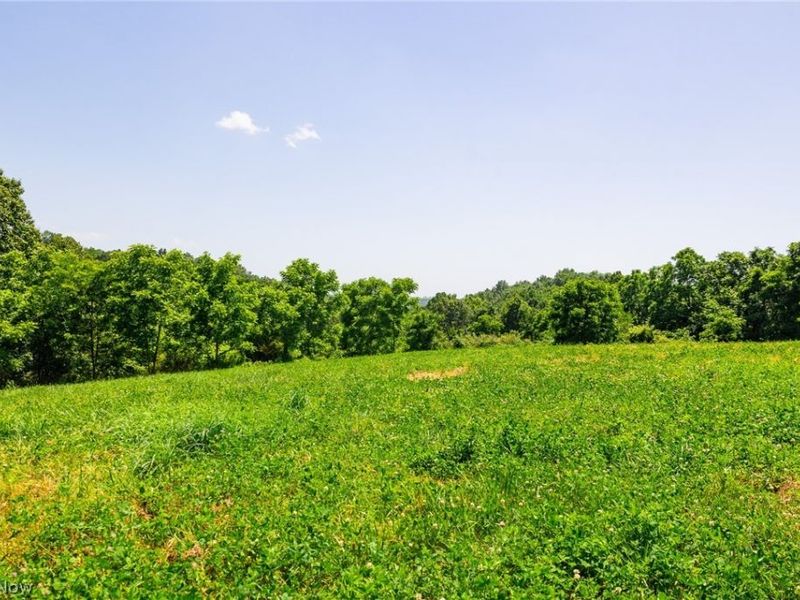 3825 Pryor Road, Chandlersville, OH 43727 Photo 26