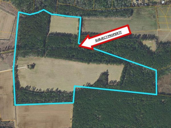 TBD Fleetwood Dr. , Galivants Ferry, SC 29544