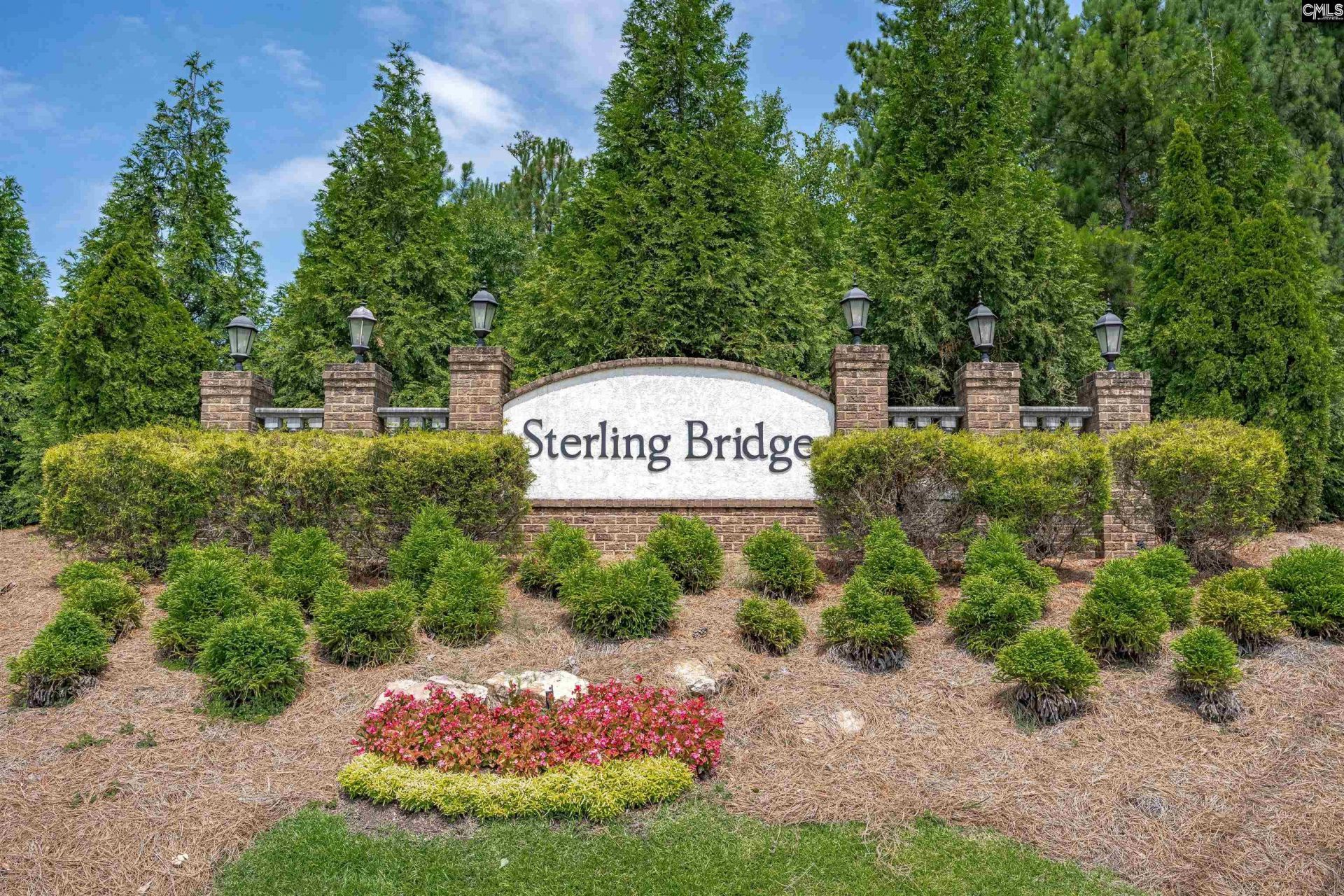 443 Sterling Brook Drive  Photo 51