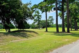 1341 Davenport Drive  photo 4