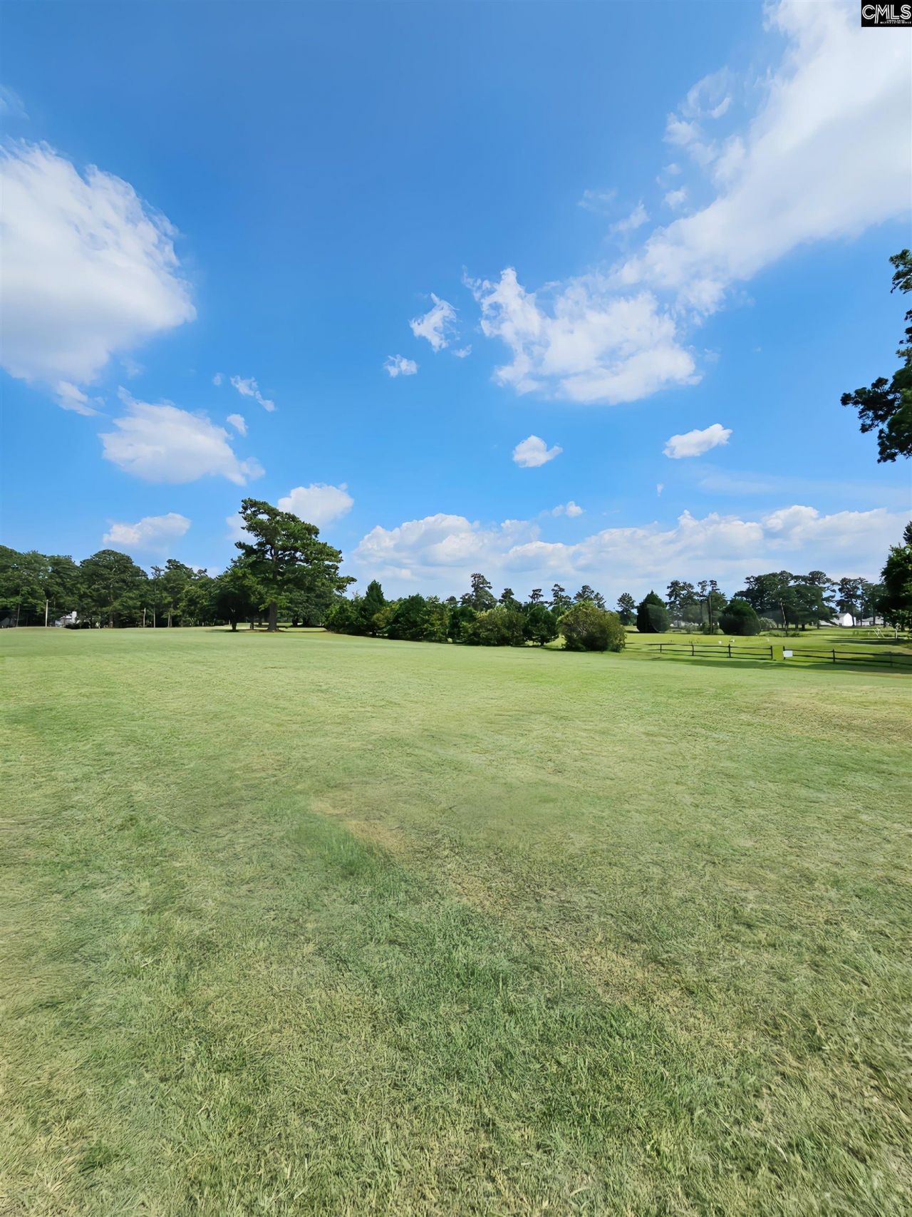 1341 Davenport Drive  Photo 35
