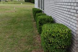 1341 Davenport Drive  photo 4