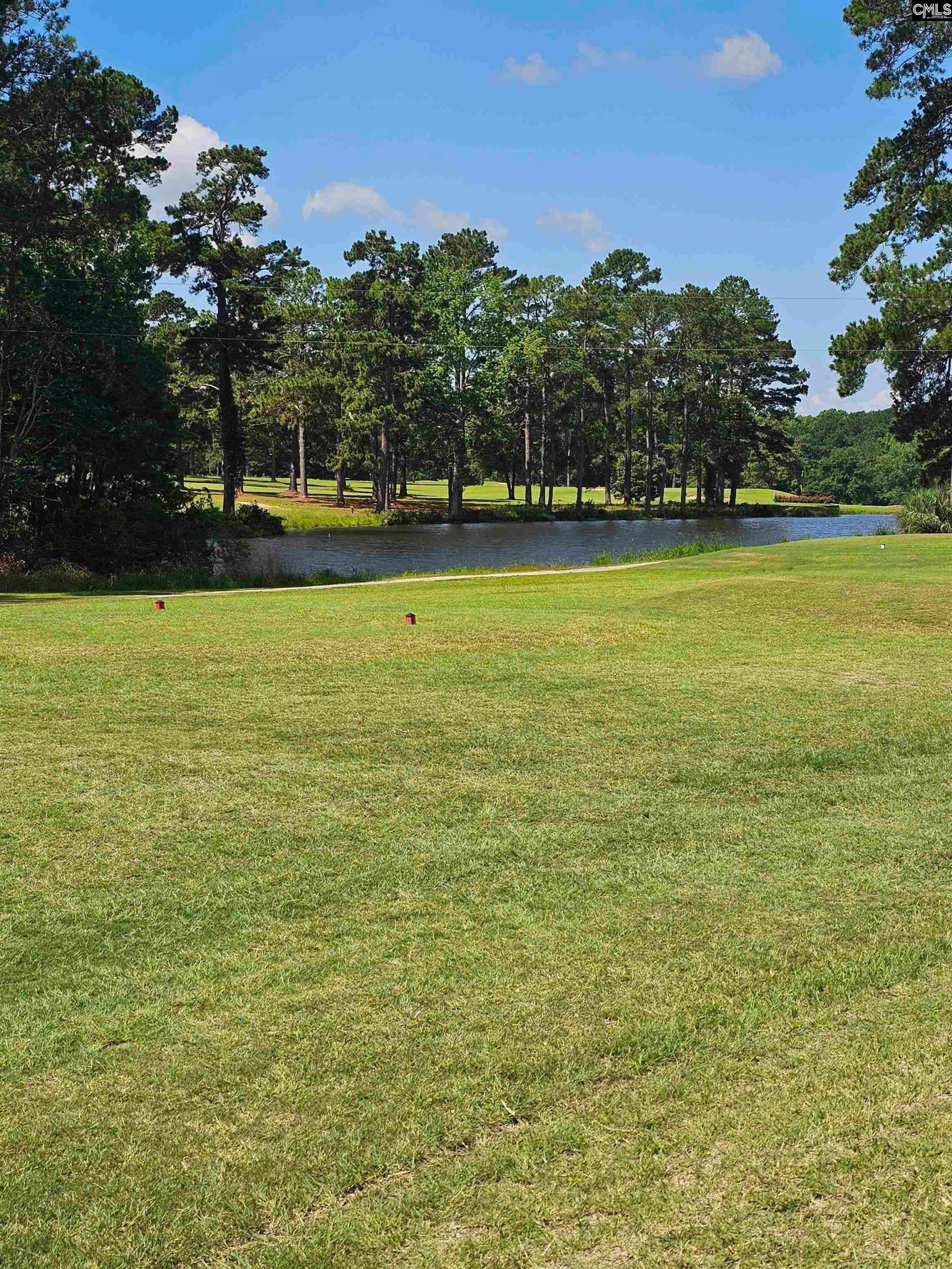 1341 Davenport Drive  Photo 41
