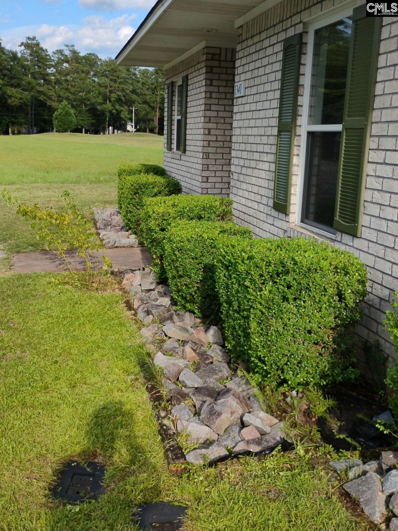 1341 Davenport Drive  Photo 5