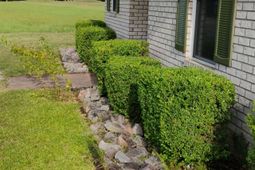 1341 Davenport Drive  photo 4