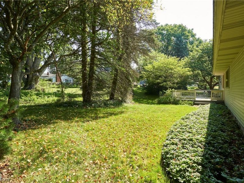 299 W Caston Road, New Franklin, OH 44319 Photo 6